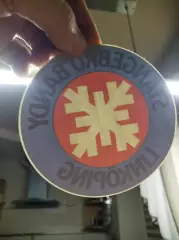 Стонгебру Линчепинг Швеция хоккей с мячом