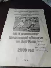 _ Курган 2000 областной