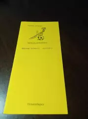 _ Динамо Барнаул - Балтика Калининград 2008 жёлтая