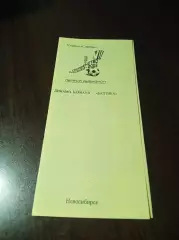 _ Динамо Барнаул - Балтика Калининград 2008 лимонная