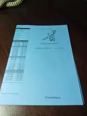 _ Динамо Барнаул - Балтика Калининград 2008 голубая