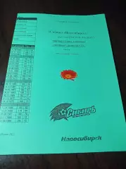 _ Динамо Барнаул - Ростов 2008 зелёная