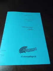 _ Динамо Барнаул - Алания Владикавказ 2009 голубая