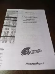 _ Сибирь Новосибирск - Динамо Брянск 2008