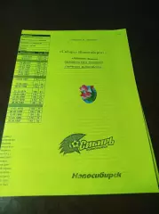 _ Сибирь Новосибирск - Динамо Брянск 2008 жёлтая