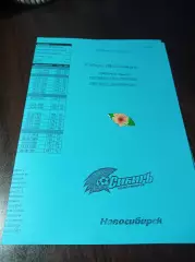 _ Сибирь Новосибирск - Динамо Брянск 2008 голубая
