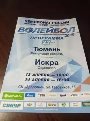 _ Тюмень - Искра Одинцово 2018/2019