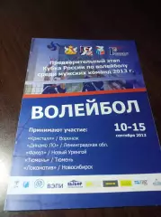 _ Кубок Воронеж 2013/2014 Тюмень Новосибирск Уренгой Динамо Санкт-Петербург
