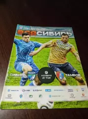 _ Сибирь Новосибирск - Тамбов 2016