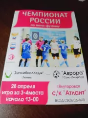 _ Запсибколледж Тюмень - Аврора Санкт-Петербург 2017 Ялуторовск Плей-офф женщины