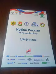 _ корпорация АСИ Кемерово - Тюмень 2018/2019 Кубок