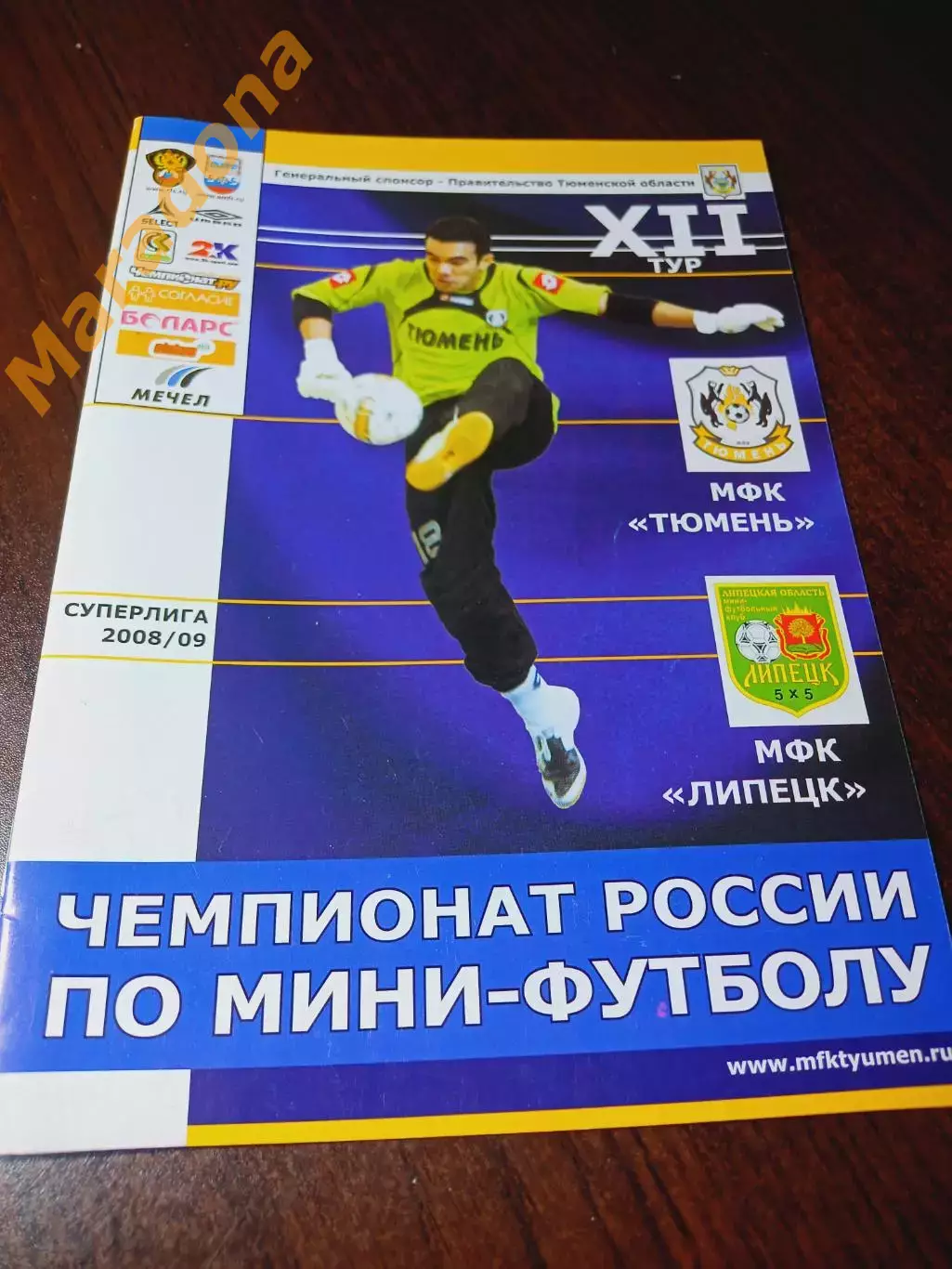 _ Тюмень - Липецк 2008/2009