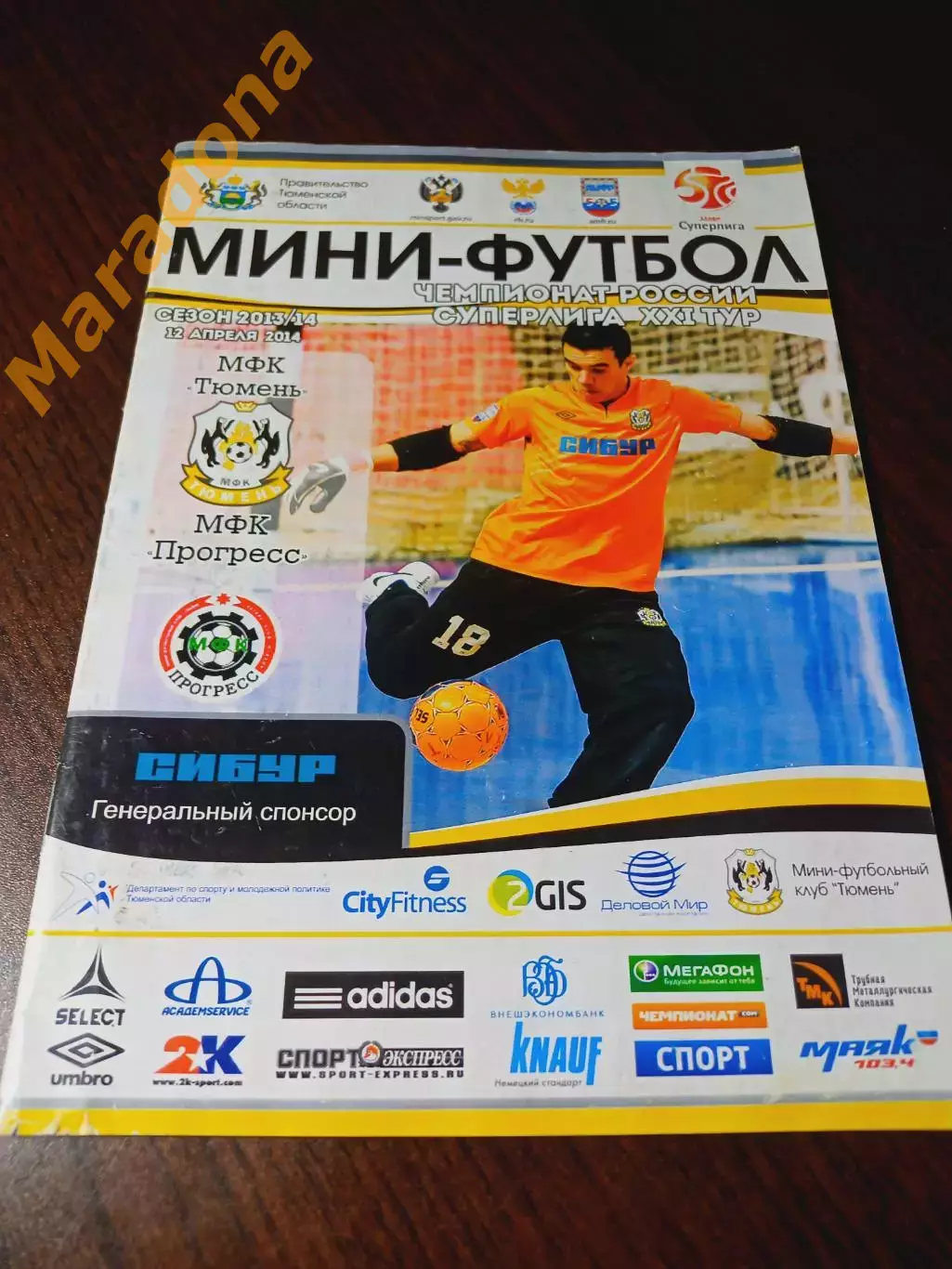 _ Тюмень - Прогресс Глазов 2013/2014