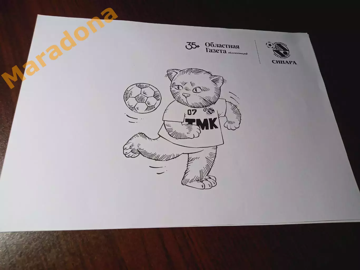 Мини-футбол раскраска Синара Екатеринбург/Областная газета кот Минька