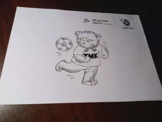 Мини-футбол раскраска Синара Екатеринбург/Областная газета кот Минька