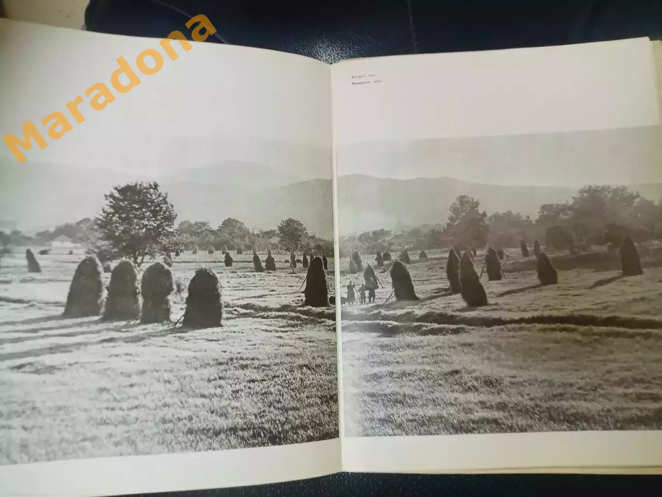 Старчевский фотоальбом Ивано-Франковщина 1978 Киев на 2-х языках 3