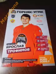 Горняк-УГМК - АКМ Тула + Рязань-ВДВ + Дизель Пенза + Кристалл Саратов 2025/2026