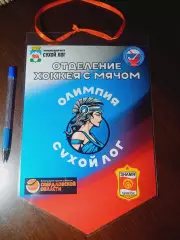 Вымпел хоккей с мячом Олимпия Сухой Лог 2025/2026 Свердловская область