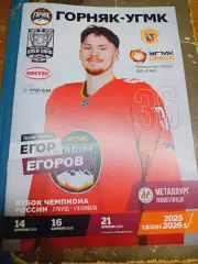 Горняк-УГМК Верхняя Пышма - Металлург Новокузнецк 2025/2026 Плей-офф