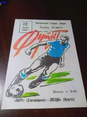 _ Амур Благовещенск - Звезда Иркутск 1988 Кубок РСФСР