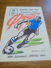 _ Амур Благовещенск - Прогресс Бийск 1988