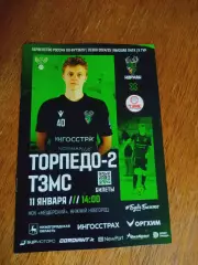 Торпедо-2 Нижний Новгород - ТЗМС Тула 2024/2025