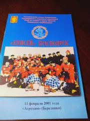 _ Енисей Красноярск - Агрохим Березники 2000/2001