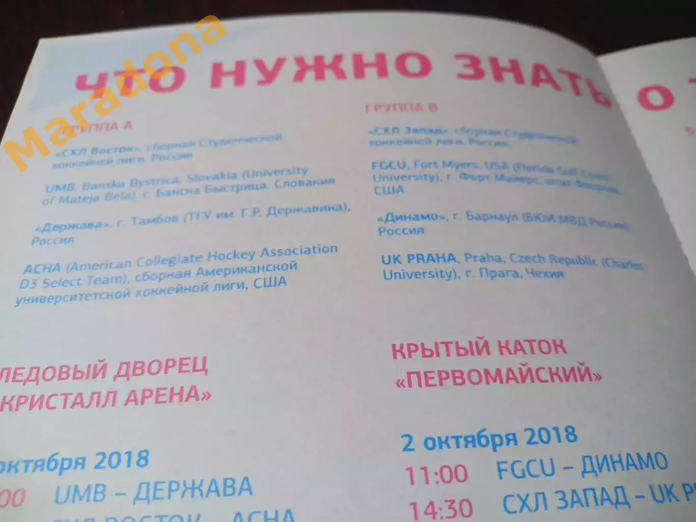 _ турнир Красноярск 2018 Россия Запад Восток США Словакия Чехия Тамбов Барнаул 1