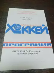 _ Металлург Череповец - Буран Воронеж 1987/1988