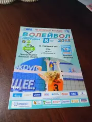 _ Индезит Липецк - Воронеж 2017/2018