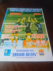 _ Динамо-Янтарь Калининград - Локомотив Новосибирск 2008