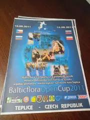 _ Кубок Балтикфлора 2011 Теплице Тюмень КПРФ Чехия Словакия Польша русский язык