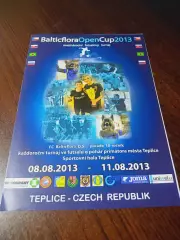 _ Кубок Балтикфлора 2011 Теплице Тюмень Чехия Словакия Бразилия Екатеринбург