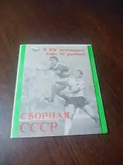 _ к 14 Чемпионату мира по футболу сборная СССР 1988 Динамо Москва