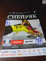 _ Сибиряк Новосибирск - Динамо Москва 2014/2015 Кубок
