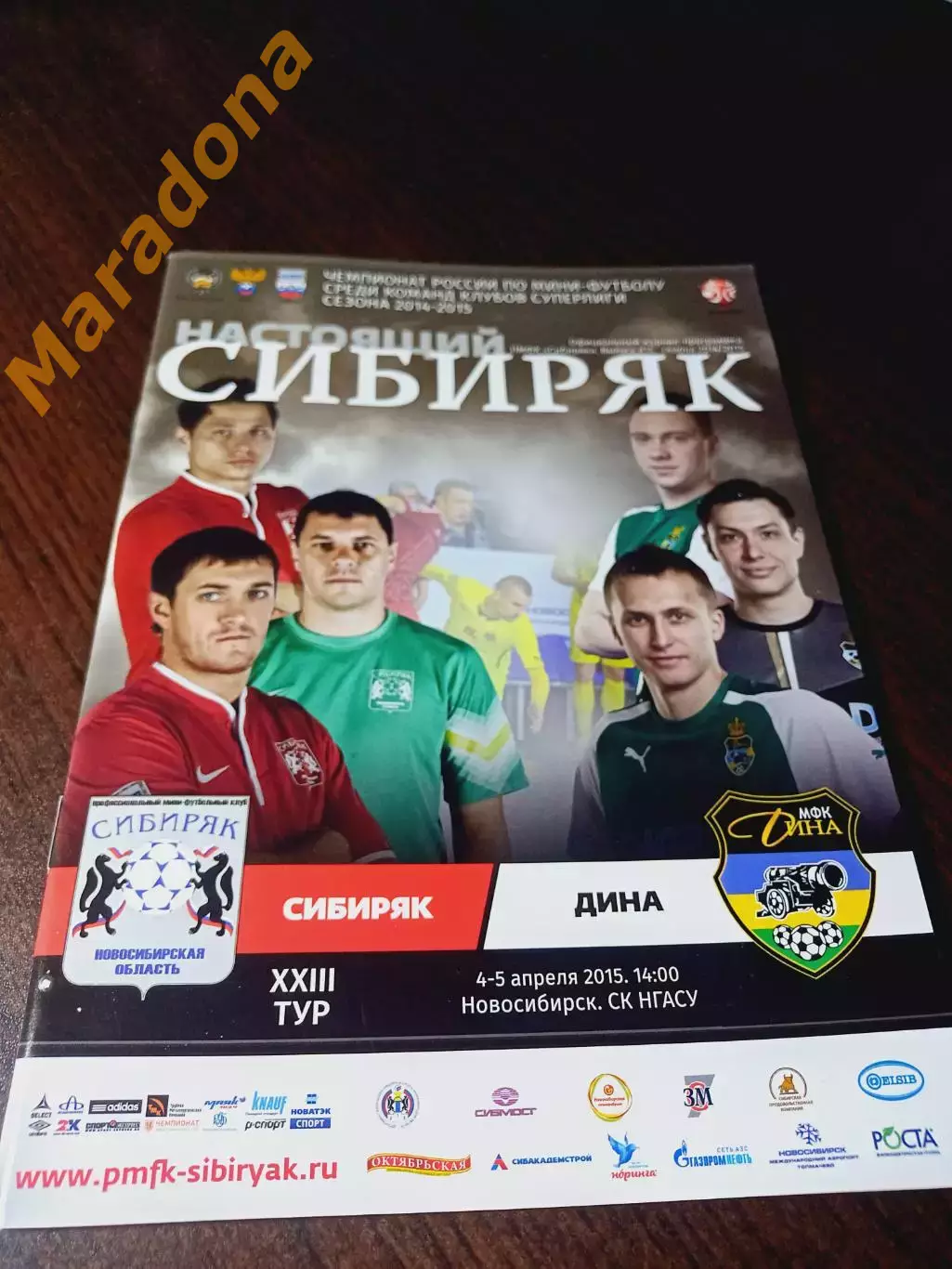 _ Сибиряк Новосибирск - Дина Москва 2014/2015