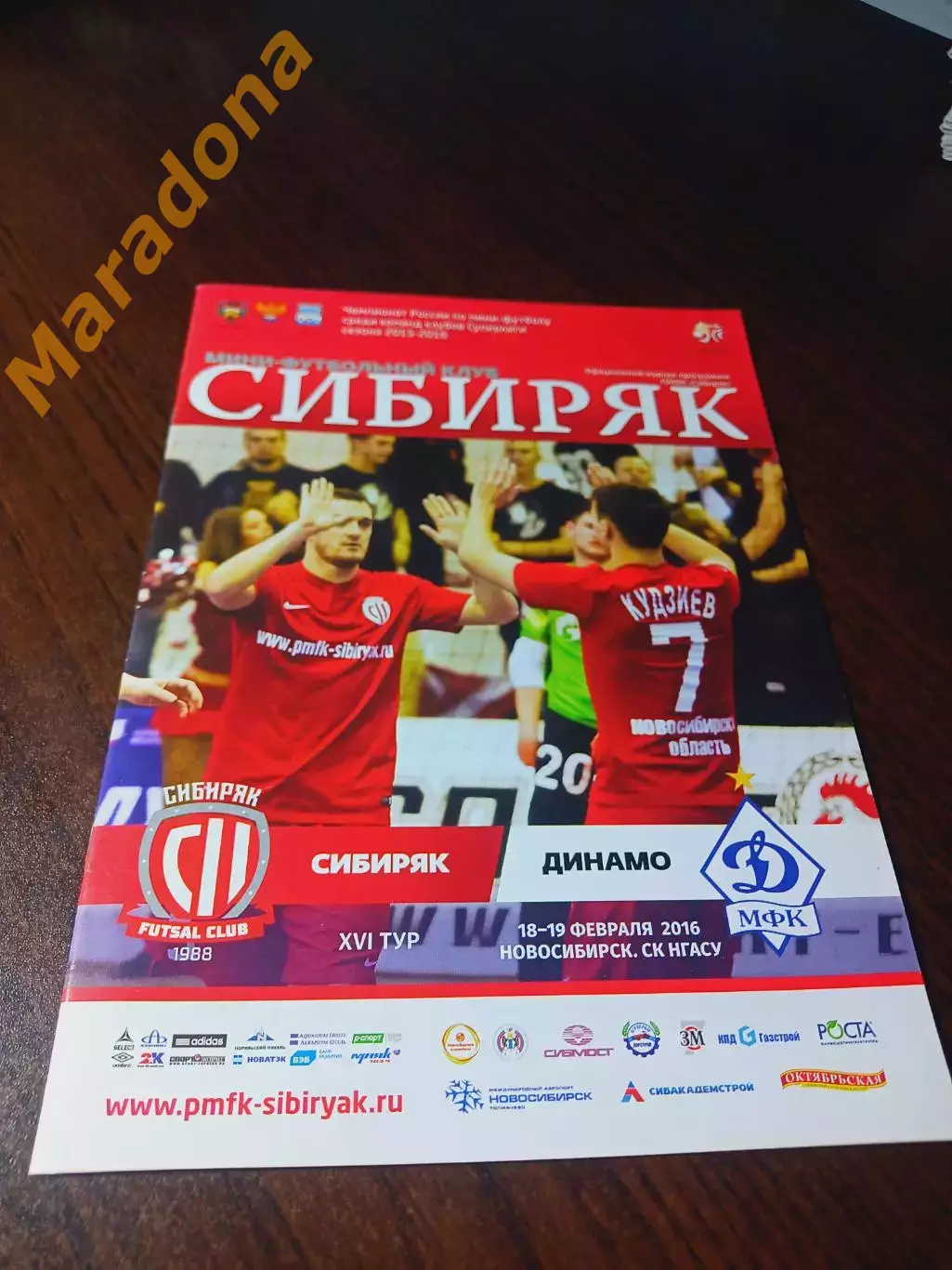 _ Сибиряк Новосибирск - Динамо Москва 2015/2016