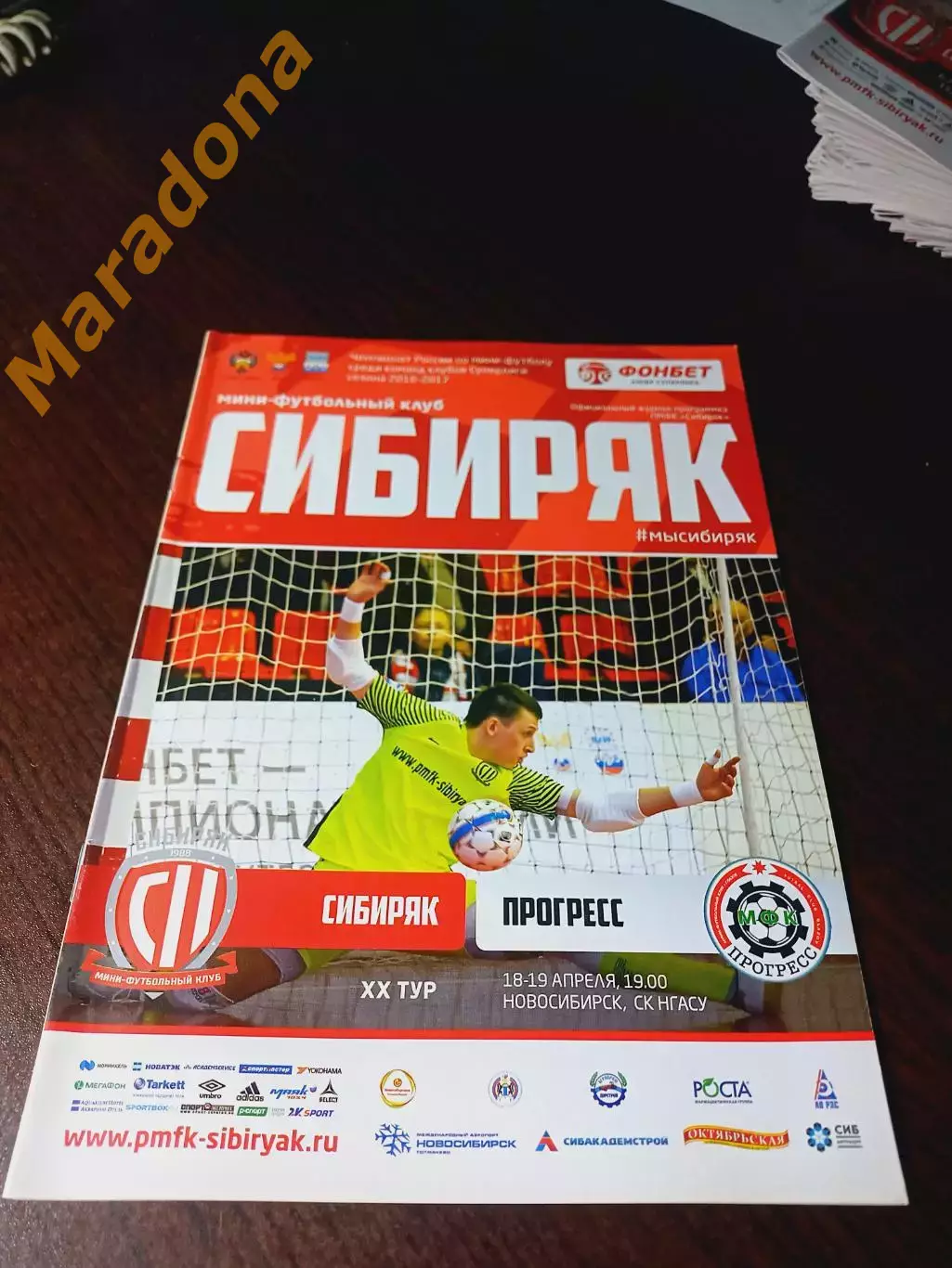 _ Сибиряк Новосибирск - Прогресс Глазов 2016/2017