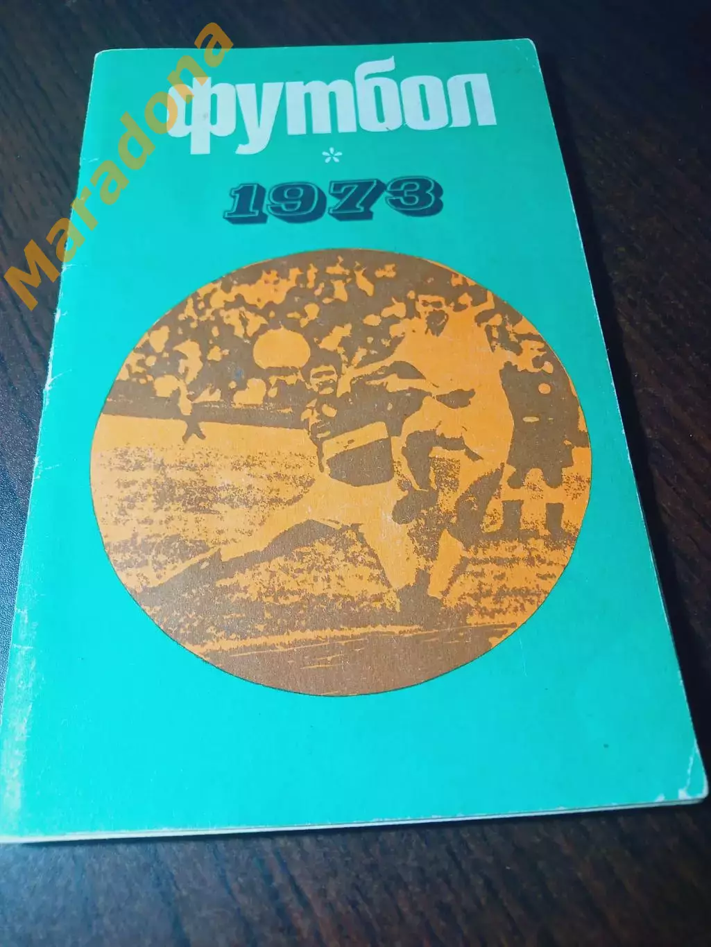 _ Лужники 1973 Москва