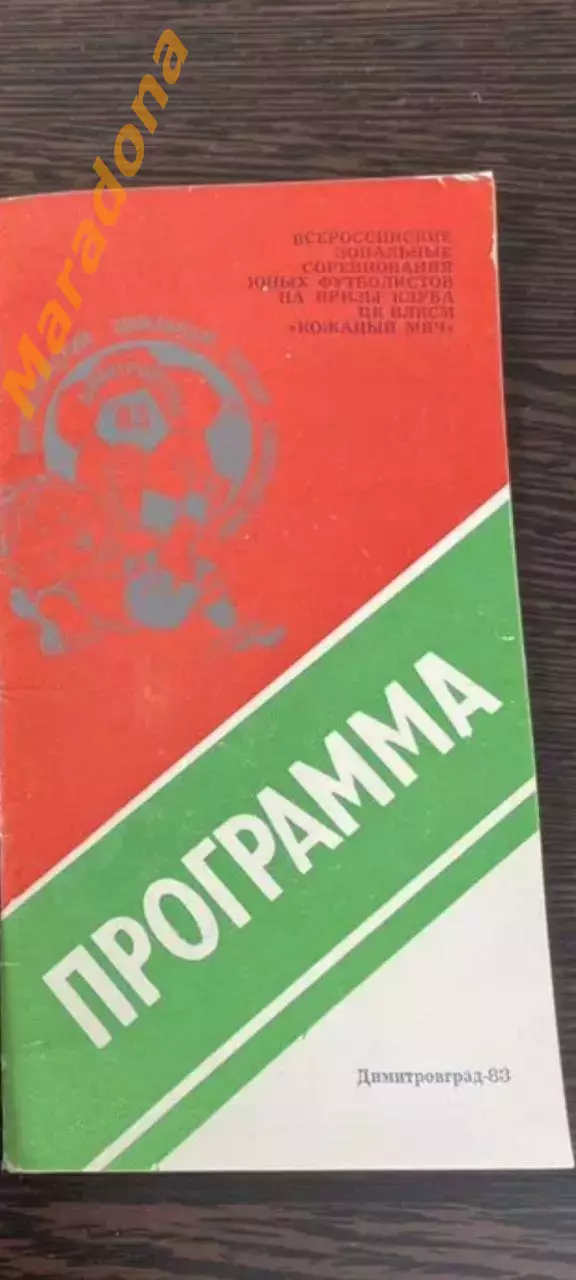 Кожаный мяч 1983 Димитровград Ульяновск Волгоград Ставрополь