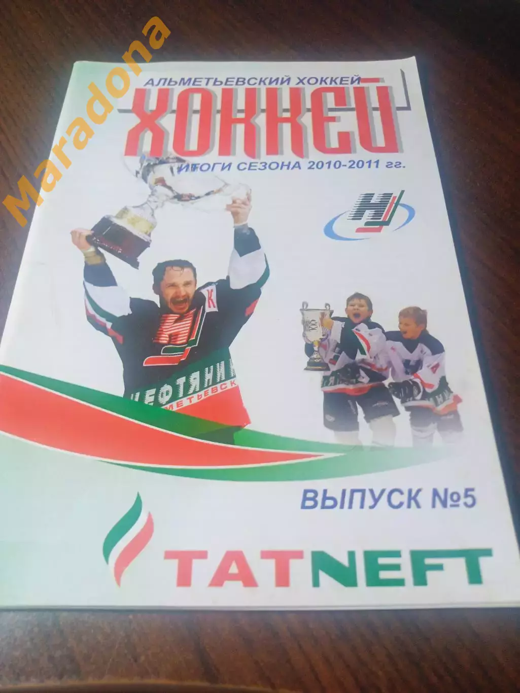 _ Альметьевский хоккей 2010/2011