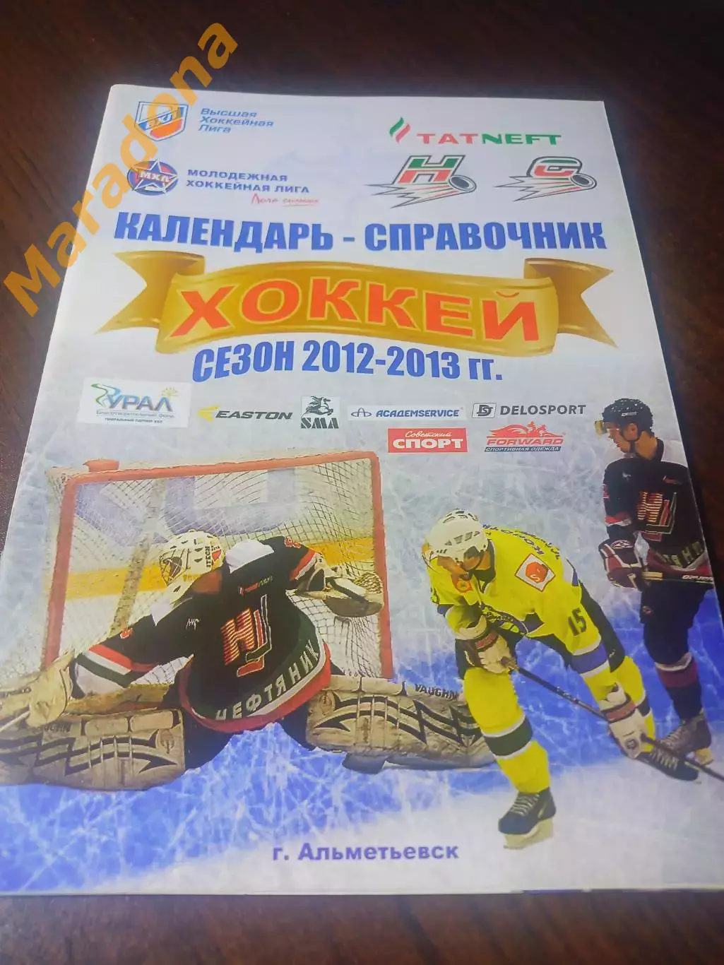 _ Альметьевский хоккей 2012/2013