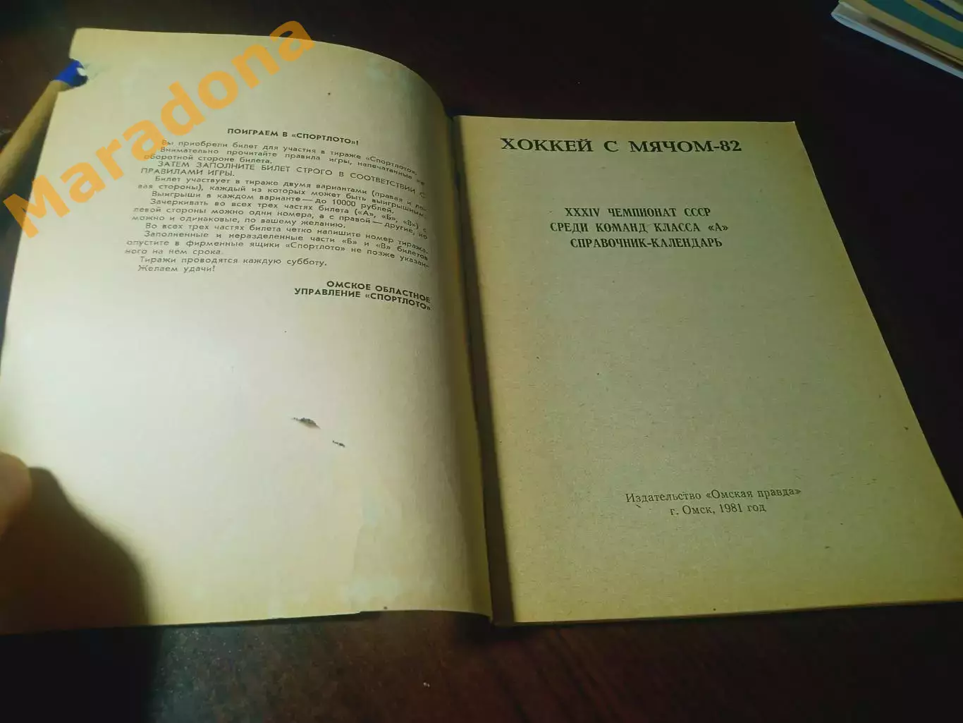 _ хоккей с мячом Омск 1981/1982 1