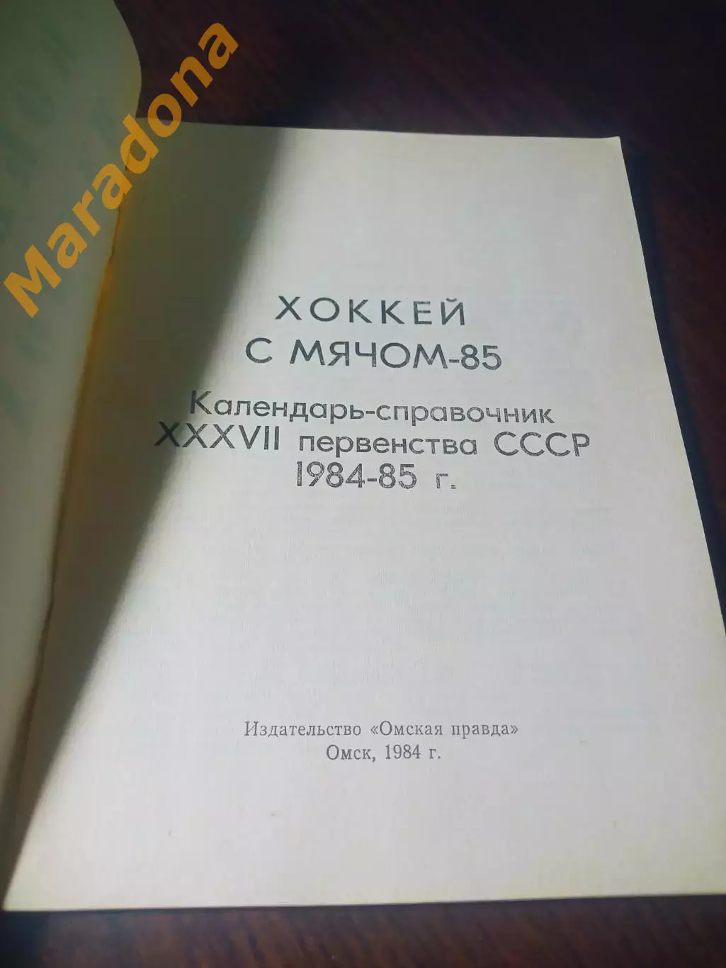_ хоккей с мячом Омск 1984/1985 1