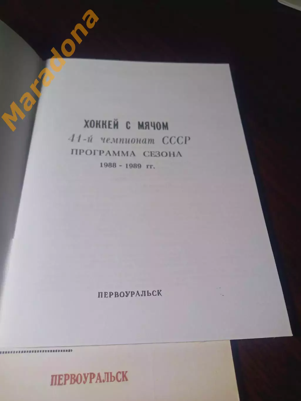 _ хоккей с мячом Первоуральск 1988/1989 1
