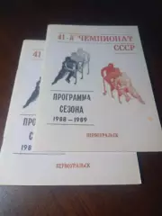 _ хоккей с мячом Первоуральск 1988/1989