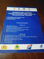 _ Финал Екат Берёз. 2014 Ангарск Краснодар Мытищи Ярославль Сыктывкар ЦСКА Пенза