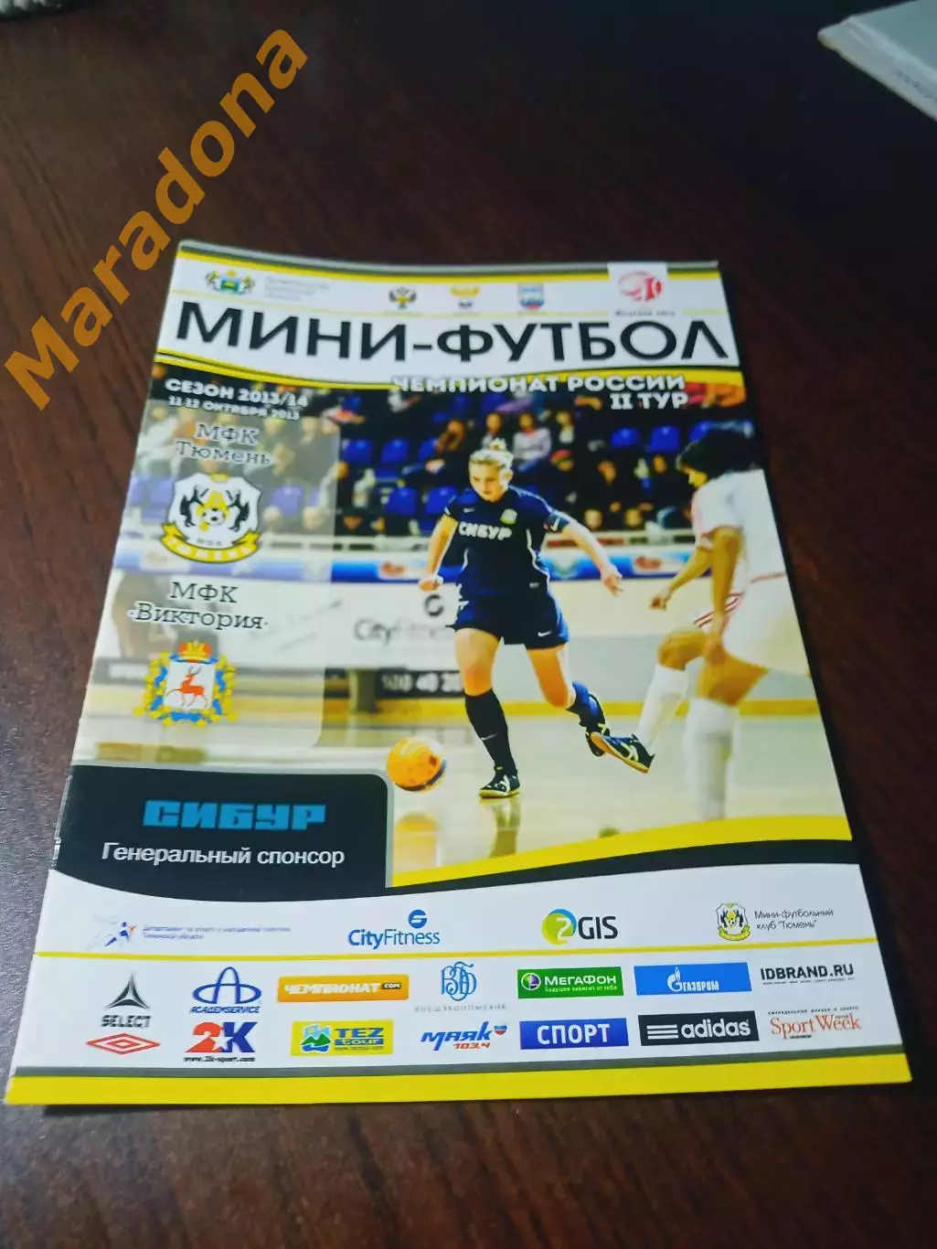 _ Тюмень - Виктория Дзержинск 2013/2014 женщины