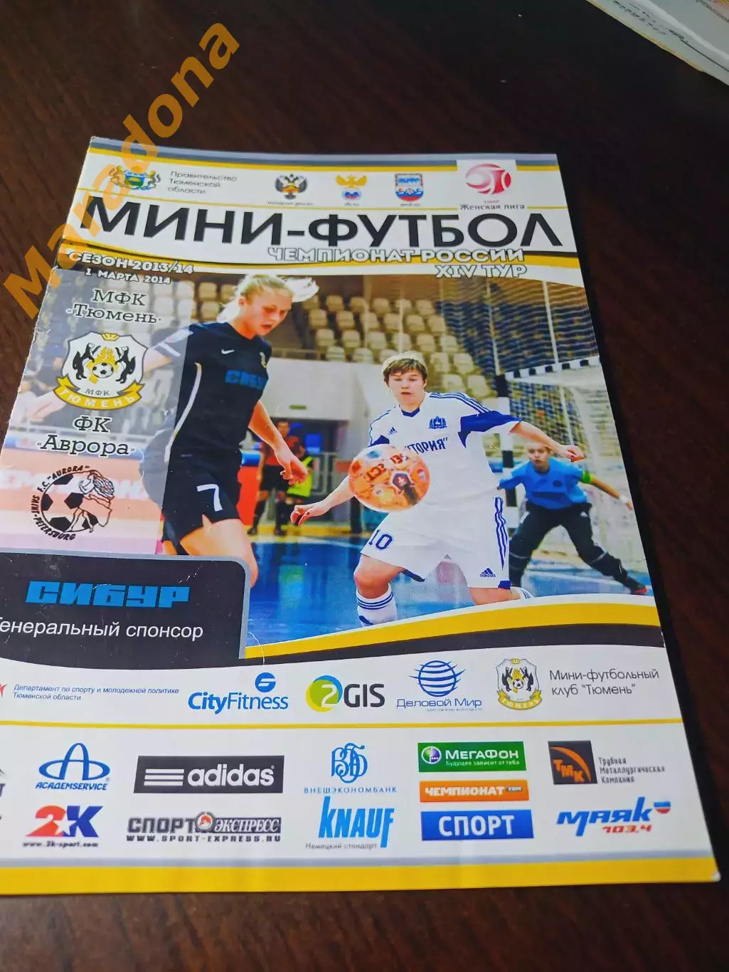 _ Тюмень - Аврора Санкт-Петербург 2013/2014 женщины