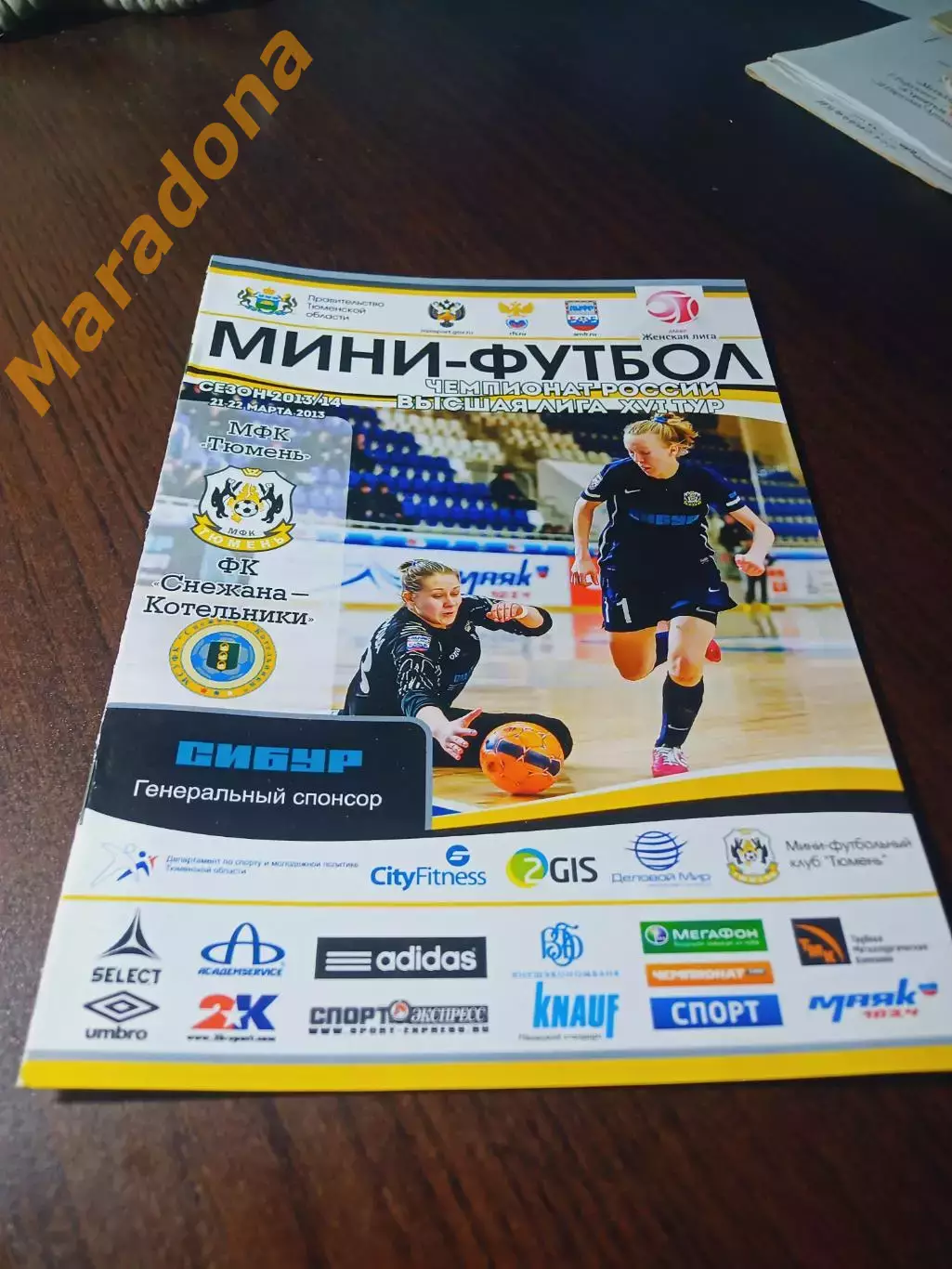 _ Тюмень - Снежана-Котельники Московская область 2013/2014